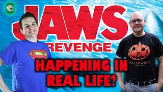 Jaws The Revenge Happening in Real Life [upl. by Akiv]