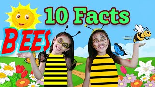 Top Bee Facts for Kids  Facts about Honey Bees  Bee Facts for Kids [upl. by Llacam]