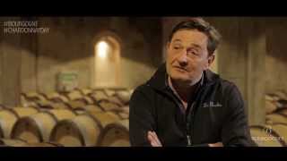 Produiton du Chardonnay en Bourgogne [upl. by Nilde]