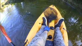 Lake Inverell  Macintyre River fishing [upl. by Jamey]