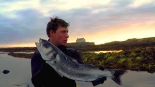 Spearfishing massive Bass at Aberffraw North Wales and diving with Rays [upl. by Wiese]