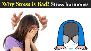 Stress and its Effects on Body [upl. by Rawdon815]