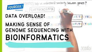 Data Overload Making Sense of Genome Sequencing with Bioinformatics [upl. by Alasdair74]