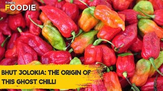 Bhut Jolokia The Fiery Ghost Pepper of North East India [upl. by Maurise]