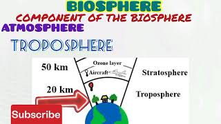 BIOSPHERE [upl. by Nevuer]