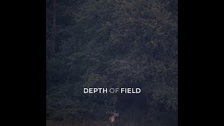 Dub Techno Mix 1  Depth of Field [upl. by Veda424]