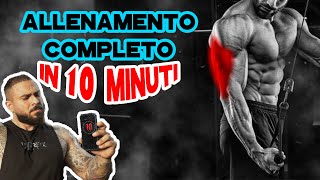 Allenamento tricipiti in soli 10 minuti  no cut [upl. by Zzaj]