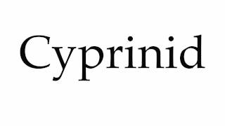 How to Pronounce Cyprinid [upl. by Yldarb]