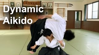 Dynamic and Technical Aikido  Shirakawa Ryuji shihan [upl. by Ecirtap799]