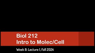 CSULB Biol 212 Fall 2024  Week 8 Lecture 1 [upl. by Elyak983]