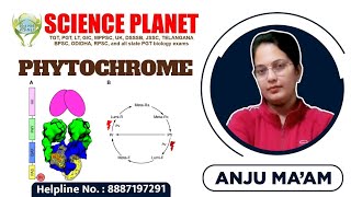 PHYTOCHROME II BY ANJU MAM II SCIENCE PLANET II [upl. by Nrojb]