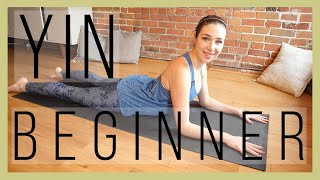 45 min Beginner Yin Yoga  Full Body Stretch Episode 366 [upl. by Brass]