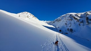 Ski Touring with Dog Hohe Touren Goldberg Astenal Mohar Stellkopf Hilmersberg 2 412024 [upl. by Emmeram500]