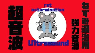 【害虫駆除超音波】ねずみ退治の音・ネズミが嫌がる音【rat exterminationultrasound 】 [upl. by Galatia368]