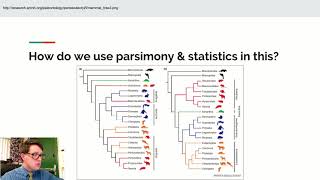 AP Biology Lecture 46 Phylogeny amp Cladistics [upl. by Car56]