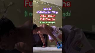 DAY 37  CALISTHENICS VLOG  BANDS BANDS BANDS✅🐉 planchejourney [upl. by Carvey]