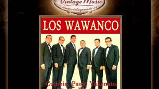 Los Wawanco  Ya Se Fue Cumbia [upl. by Aloke]