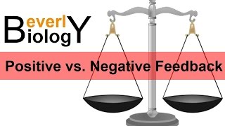 Negative vs Positive Feedback [upl. by Ogata]