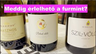 Egy tíz éves száraz tokaji furmint már kuka [upl. by Aleakim]