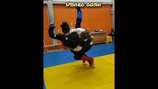 Ushiro Goshi jujitsu judojujitsu judo jujitsufighting sparring martial arts combatsport [upl. by Sackey]