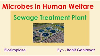 13 Sewage Treatment Plant [upl. by Georgeanna]