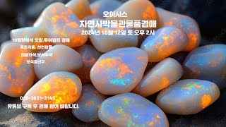 오아시스자연사박물관물품경매2024년 10월 12일토오후2시10월탄생석오팔투어멀린루비에메랄드비취옥조각품천연광물골동품경매옥돌Octoberbirthstone [upl. by Wagshul243]