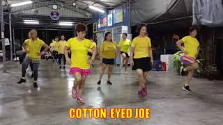 Cotton eyed Joe line dance [upl. by Akienat]