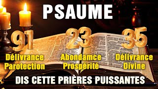 PSAUME 912335 🙏 PRIÈRES PUISSANTES pour LABONDANCE la PROTECTION et le MIRACLE DIVINE [upl. by Notwen]