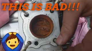 Lexmoto Adrenaline 125 Top End Rebuild OH NO [upl. by Ruyam116]