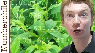 Primes are like Weeds PNT  Numberphile [upl. by Surovy831]