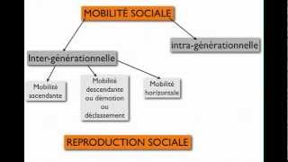 LES DIFFÉRENTES MOBILITÉS [upl. by Htebasyle]