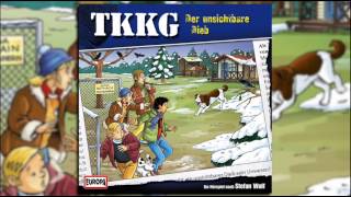 TKKG  Folge 185 Der unsichtbare Dieb [upl. by Assen]