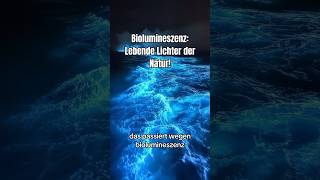 Biolumineszenz  die Lichter der Natur 💡bioluminiscencia nature wissenswert goodtoknow [upl. by Lierbag]