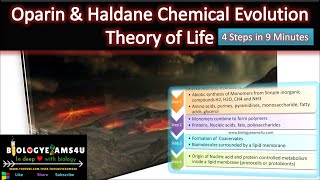 What is OparinHaldane Theory of Chemical Evolution of life Simplified in 4 Steps [upl. by Treblih89]