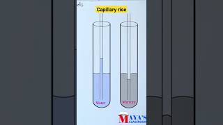 Capillary riseplusinephysicsshorts capillarity [upl. by Saddler421]