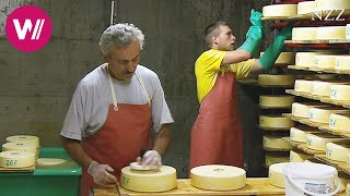 Cheesemaking  visiting a Swiss dairyman [upl. by Rollin]