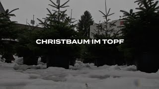 Christbäume zu vermieten [upl. by Cohette587]