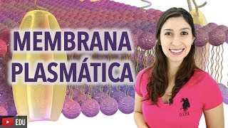 Citologia 22 Membrana Plasmática  Anatomia e etc [upl. by Tamarra]