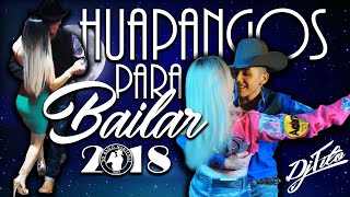 Los Mejores HUAPANGOS Para Bailar 2018 DjTito [upl. by Winchester54]