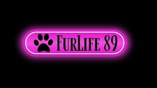 FurLife 89 003 [upl. by Dauf479]