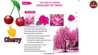 LOVELIEST OF TREES  Follow Up Lesson  Class  VII ENGLISH  ENGLISH READER  Odiamedium [upl. by Kaja]