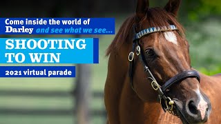 2021 Darley Australia Stallion Parade  Shooting To Win [upl. by Repinuj]