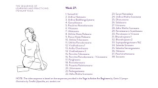 Week 27 Learning and Practicing Iyengar Yoga for Beginners [upl. by O'Brien]