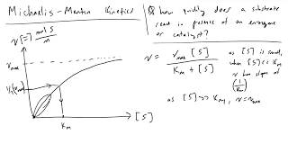 Michaelis Menten Kinetics [upl. by Leighton191]