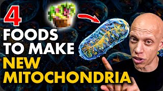 4 Foods to Make New Mitochondria Scientific Proof  Mastering Diabetes [upl. by Nevah]