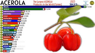 The Largest ACEROLA Producers in the World [upl. by Yllib]