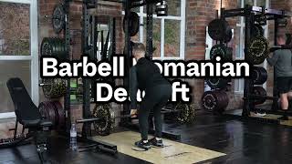 Barbell Romanian Deadlift Tutorial [upl. by Netsruk]