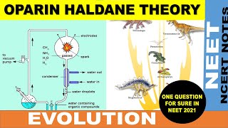 Oparin  Haldane Theory Ncert explained  Chemical Evolution  Evolution NEET notes  NEET 2021 [upl. by Naida]