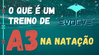 ENTENDENDO AS ZONAS DE TREINAMENTO NA NATAÃ‡ÃƒO  A3 TREINO AERÃ“BICO DE ALTA INTENSIDADE [upl. by Ulysses]