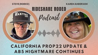 California Prop22 Explained wKaren Anderson doordash uber [upl. by Iney732]